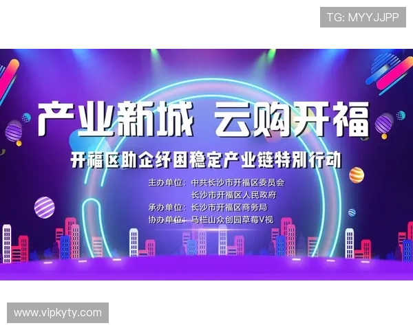 深入分析开云品牌形象建设的核心要素与成功案例分享